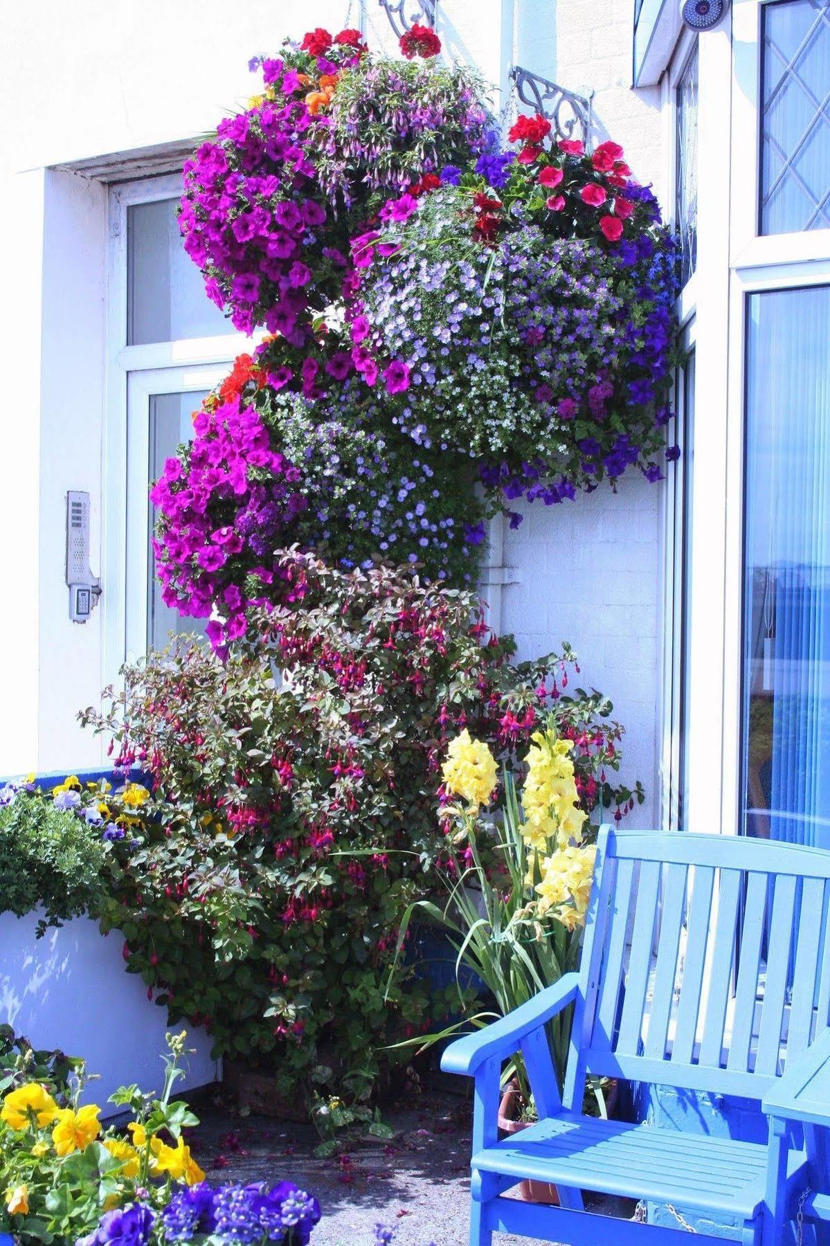 Devon View Guesthouse Swansea Bagian luar foto